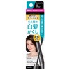 Salon de Pro Color Touch-up For Gray Hair, EX 0.6