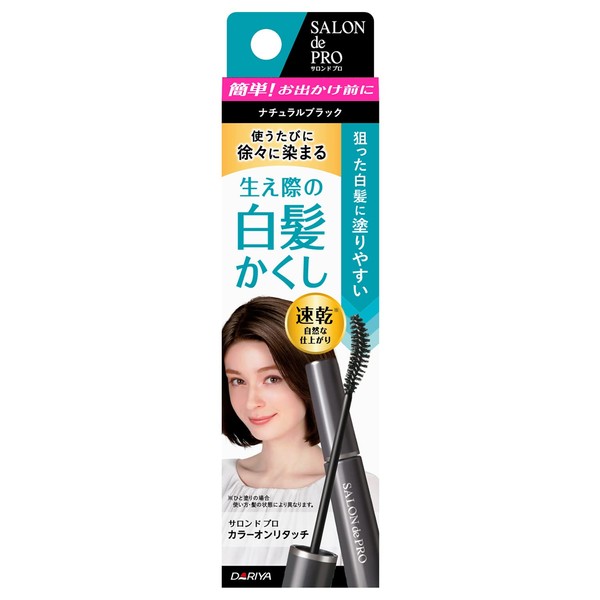 Salon de Pro Color Touch-up For Gray Hair, EX 0.6 fl oz (15 ml)