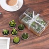 12 Velas de Cactus,Velas de té de Cactus, Decorativo Hecho