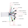 250W/350W Waterproof LED Display Panel Electric Bicycle Scooter Brushless Controller