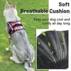 Belababy Soft No Pull Dog Harness X Small, Adjustable Assistance