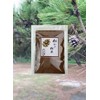 はかたマルシェ 長崎県産 松かさのちから 松かさ粉末(松ぼっくり) 煎じ用 100ｇ 松を飲んだり 松を食べる 松葉茶