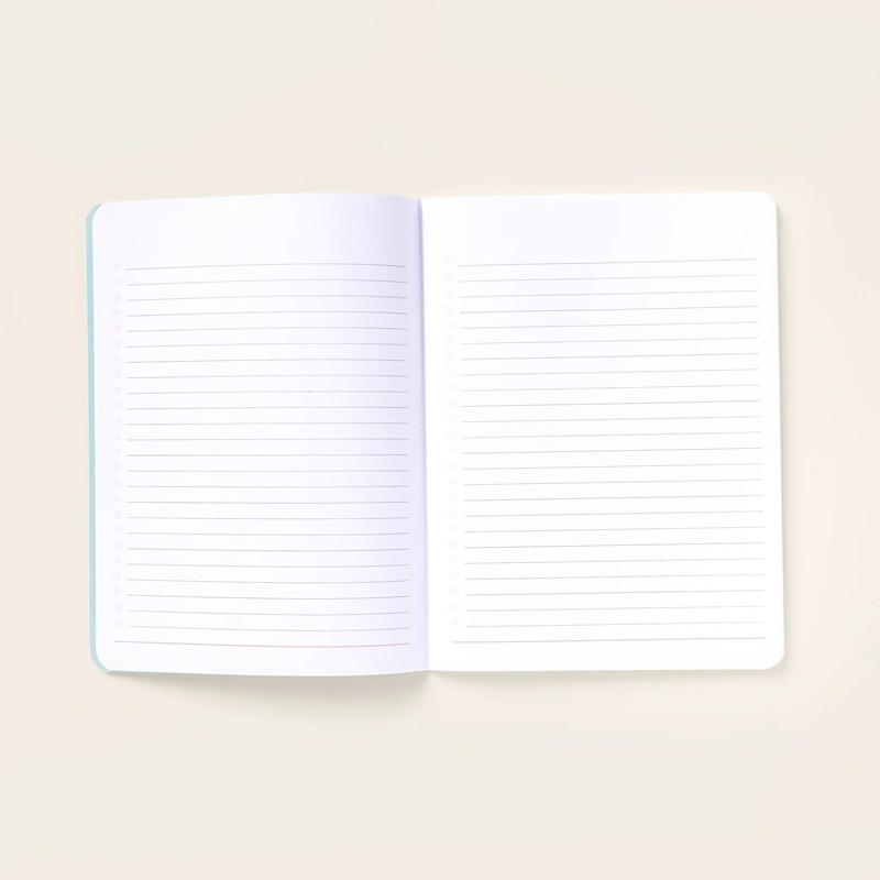 Passionate Penny Pincher Blank Journal - (Pack of 4) 6''