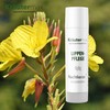 Evening Primrose + Lip Care 10ml