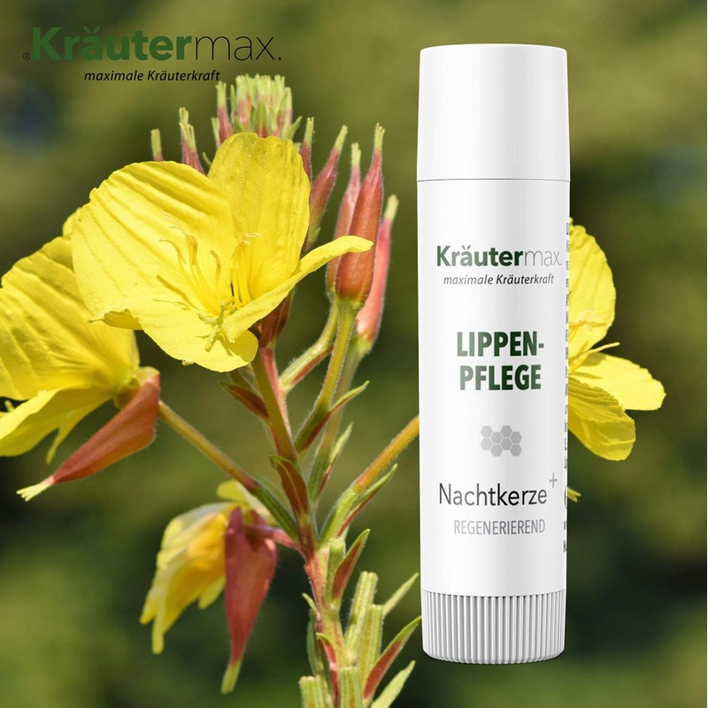 Evening Primrose + Lip Care 10ml