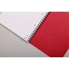 Clairefontaine - Ref 482/1127Z - Europa Notemaker Sidebound Notebook (120