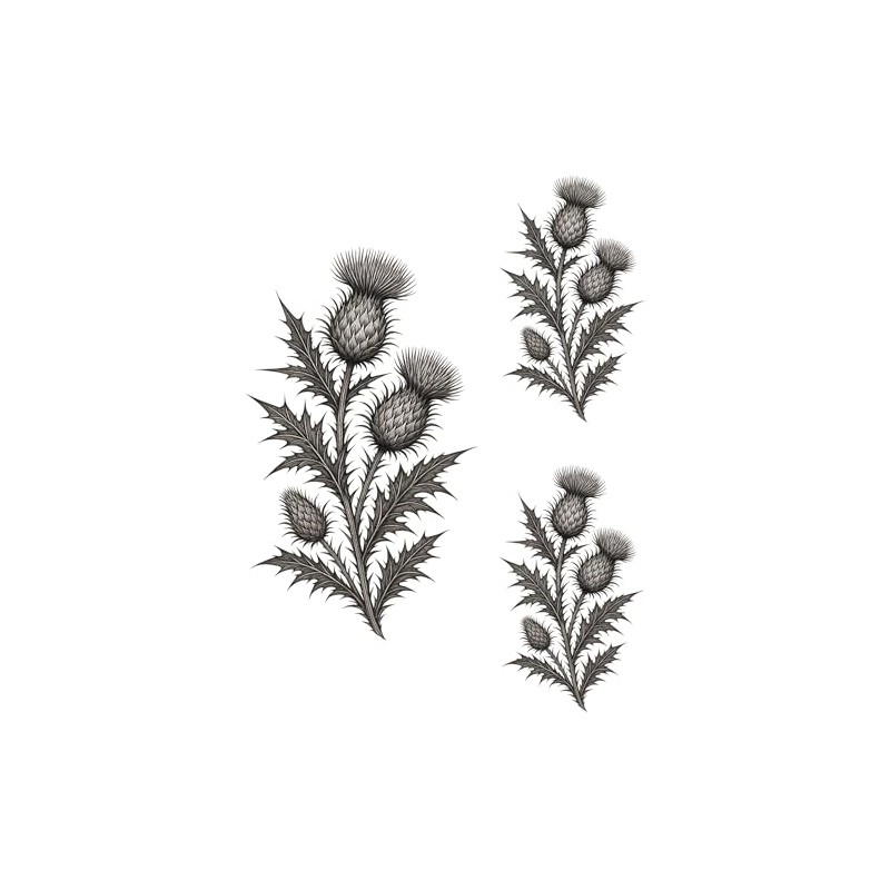 Scottish Thistle Temporary Tattoo Sheet – Striking Botanical Black Ink