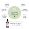 The Vitamin Shoppe Liquid Chlorophyll 100mg - Green Superfood That