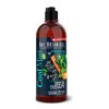 The Botanist Shampoo + Acondicionador The Botanist Cool Mint
