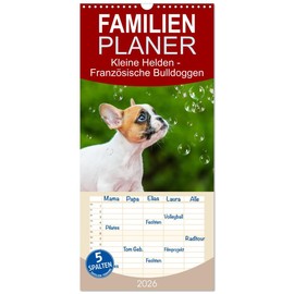 Family Planner 2026 - Little Heroes - French Bulldogs with 5 Columns (Wall Calendar, 21 cm x 45 cm), Calvendo: With 13 Charming Photos of the Popular French Bulldogs (CALVENDO Animals)