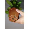 Soil Moist Vacation Watering Mats for Indoor / Outdoor Potted
