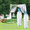 URROMA Wedding Water Bottle Labels, 50 Pcs Eucalyptus Leaf Water