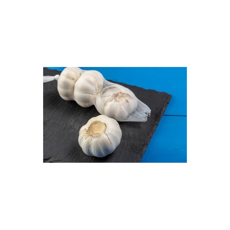 Fresh Garlic - 500gram