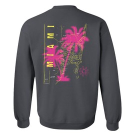 PITBULL District Sweatshirt Mr Worldwide Miami Tour Mechandise. Unisex crewneck. Black (US, Alpha, Large, Regular, Regular, Black)
