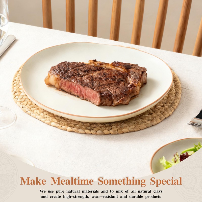 Dafuceramic Stoneware Dinnerware Set for 4, 12 Piece Plates and