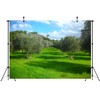 CORFOTO 5x3ft Fabric Olive Trees Backdrop Olive Trees Spring Landscape