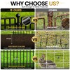 No Dig Garden Fence, Dog Fencing Outdoor for Yard, 5