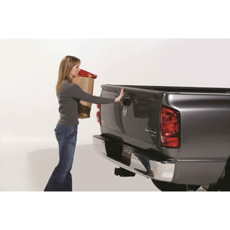 DZ43300 Tailgate Assist Fits 02-08 RAM 1500 and 03-09 RAM
