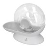 Pet Water Dispenser Snail Shape Automatic Transparent 2.8L Large Capacity