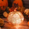 hvfun Rosegold Thanksgiving Decorative Artificial Pumpkins-Mercury Glass Light up Pumpkin