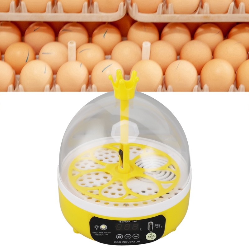 Mini Egg Incubator for Home Automatic Temperature Humidity Control 4