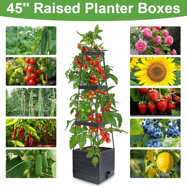 Unbranded Raised Garden Bed Planter Boxes with Trellis 45'' Tomato