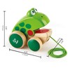 Hape Frog Pull-Along | Wooden Frog Fly Eating Pull Toddler