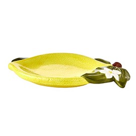 SKL HOME by Saturday Knight Ltd. Vern Yip Citrus Grove Soap Dish, Yellow