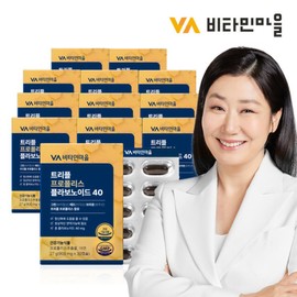 Vitamin Village Triple Propolis Flavonoid 40mg 30 capsules x 12 boxes (total 12 months supply) / 비타민마을 트리플 프로폴리스 플라보노이드 40mg 30캡슐 x 12박스 (총12개월분)