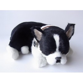 Ninia and Kino Perfect Pet French Bulldog, Boston Terrier, S Size, Approx. 8.7 inches (22 cm), Plush Toy, Dog, Realistic, Life-Like, Stomach Moves Like Dog Is Sleeping Peacefully