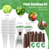 DRYADES Seed Pod Kit Compatible with Aero Garden and All
