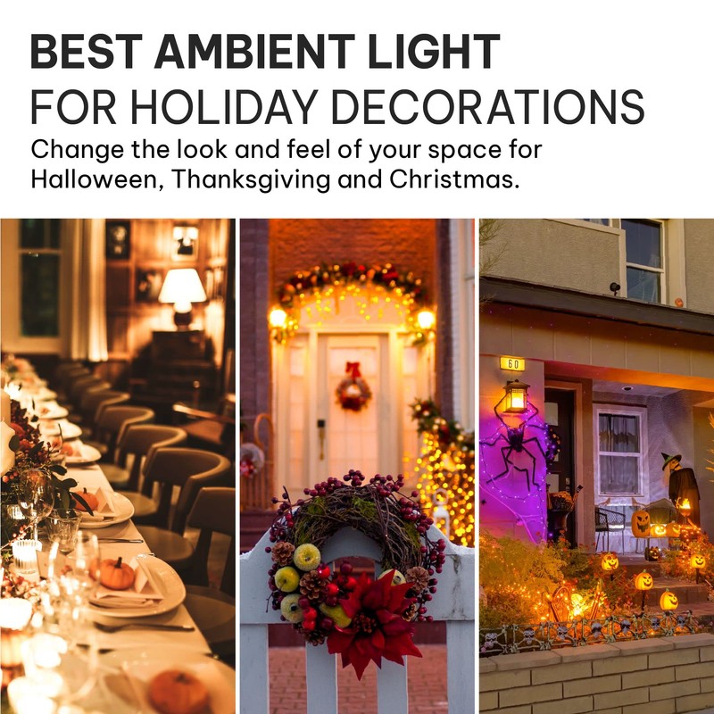 Hudson LED Halloween Bulbs - Flame Effect, 4‑Mode Upside Down