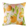 Evans Lichfield Fruit Oranges Cushion Cover, Multi, 43 x 43cm
