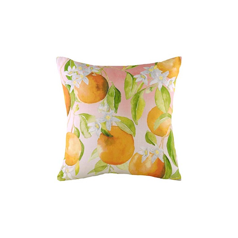 Evans Lichfield Fruit Oranges Cushion Cover, Multi, 43 x 43cm
