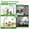 Grow Lights for Indoor Plants, Full Spectrum LED Tabletop Plant