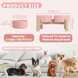 Elevated Ceramic Dog Bowl Set of 2 - Double Dishes with Non-Slip Stand - Raised Food and Water Bowls - Ideal for Small to Medium Dogs - Each Holds 2 Cups (28.75 fl oz) - Pink
