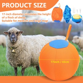 LaRandom 2 Set 17 Inch Herding Ball for Dogs, Dog Herding Ball with Oxford Cloth Cover Pump Tool Agility Training Equipment for Australian Shepherd, Cattle, Border Collie(Orange)
