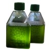 Cepa Espirulina Máxima, Calidad Laboratorio 800ml