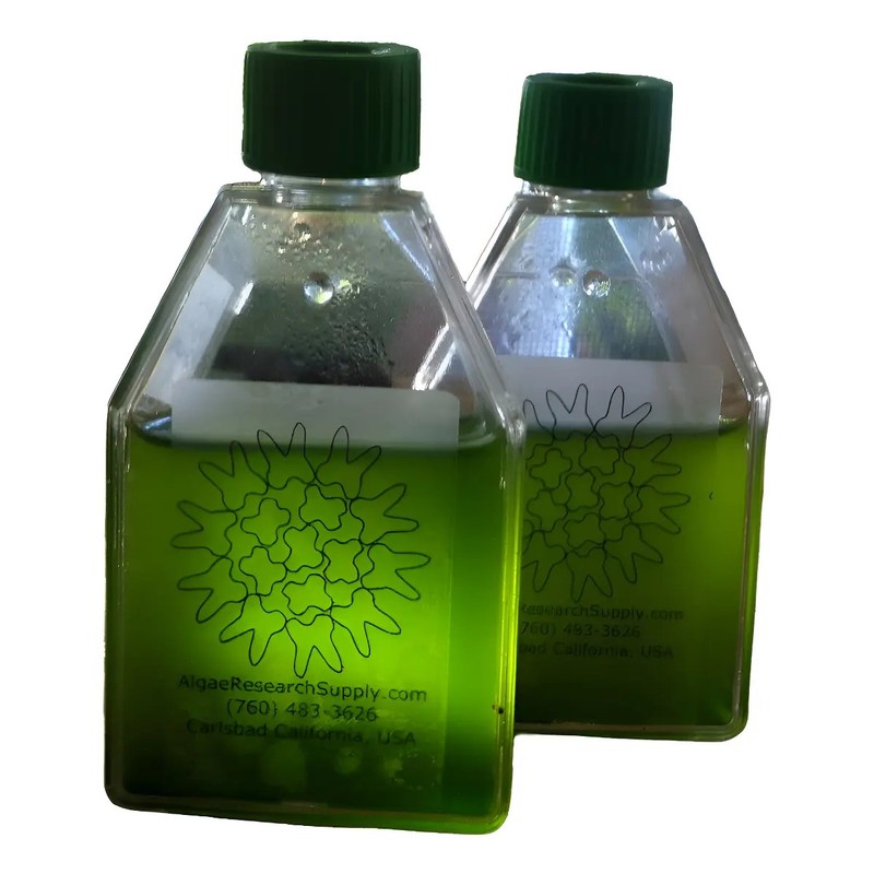 Cepa Espirulina Máxima, Calidad Laboratorio 800ml