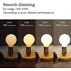 KGC LED Edison Globe Light Bulbs, Warm White 2700K CRI