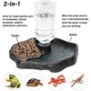 JINJUMEI Turtle Water Bowl, Reptile Water Dispenser, Terrarium Water Bowl,