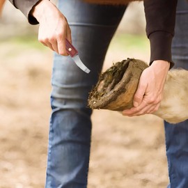 Hoof Trimmer Shears Stainless Steel Blade, Rubber Wood Handle Multipurpose Cattle Horse Cutter Professional Farrier Tool Super Knife with for Sharpener Horses Tools Non Slip