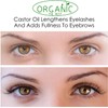 Organic Castor Oil Cold Pressed Undiluted,Certified, Premium Quality 50 ml,