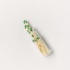 River Birch Decorative Matches in a Bottle with Striker -