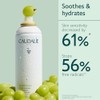 Caudalie Agua de Uva Mist Hidratante - 200 mL