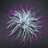 Simulation Artificial Silicone Sea Anemone Coral Ornament for Aquarium Fish