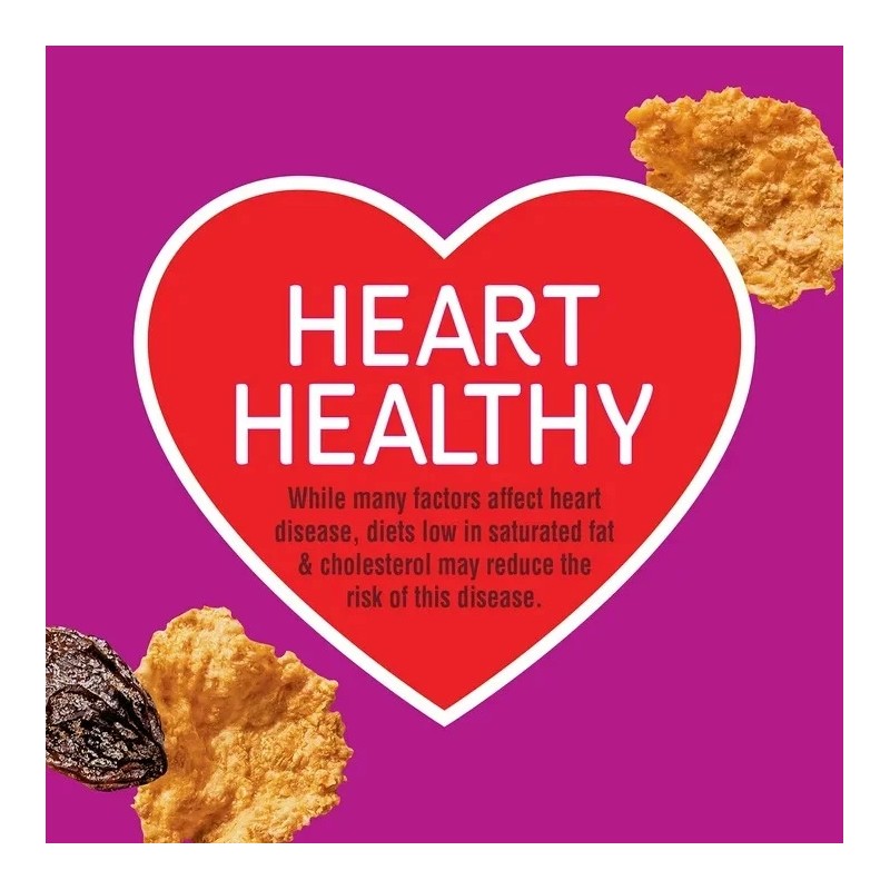 Kellogg's Raisin Bran Cereal 76.5 oz Family Size Kellogg’s Breakfast