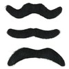 Skeleteen Self Adhesive Party Mustaches - Hairy Fake Black Sticker