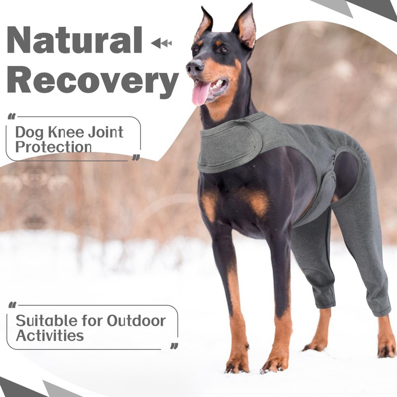 ROZKITCH Dog Surgery Recovery Sleeve Rear Right Left Leg, Pet