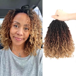 Shoobidoo 14 Inch Pre-looped Yanky Twist Crochet Hair 9 Packs Pre-twisted Passion Twist Crochet Hair Micro Spring Twist Crochet Hair Synthetic Crochet Hair Extensions